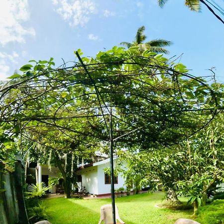 Sanithu Homestay And Villa Galle Exteriér fotografie