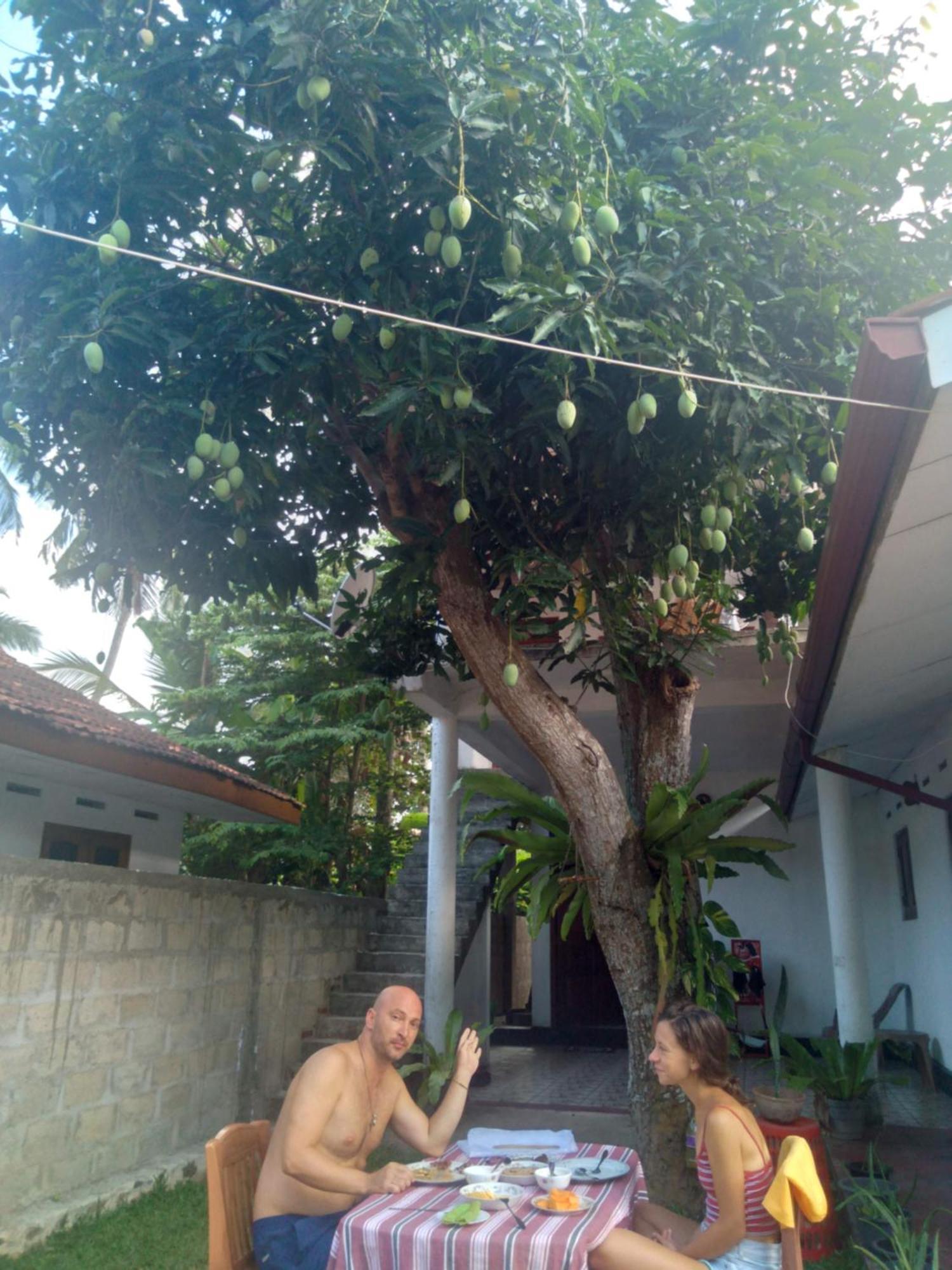 Sanithu Homestay And Villa Galle Exteriér fotografie